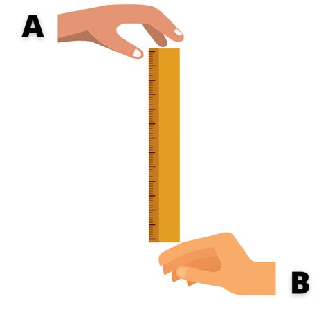 brainiac drop test|Reaction Time: The Ruler Drop Test .